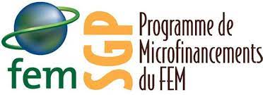 Pmf-fem