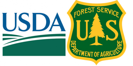 Forest service usda